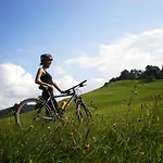 Wanderhotel Sonnebergbaude ホテル ヴァルタースドルフ
