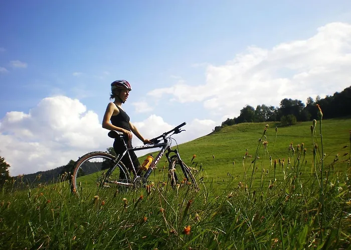 Wanderhotel Sonnebergbaude فندق ترسدورف